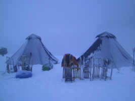 Winteraktion Winteraktion