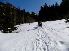 Winteraktion Winteraktion