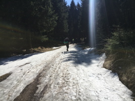 Bundeshajk 2019 Bundeshajk 2019